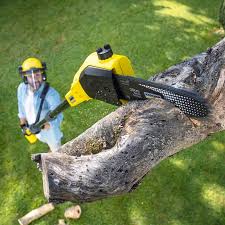 Best Sod Installation  in Edgewood, TX